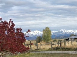 IMG_1794